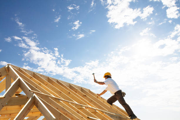 Best Roof Insulation Installation  in Leesburg, FL